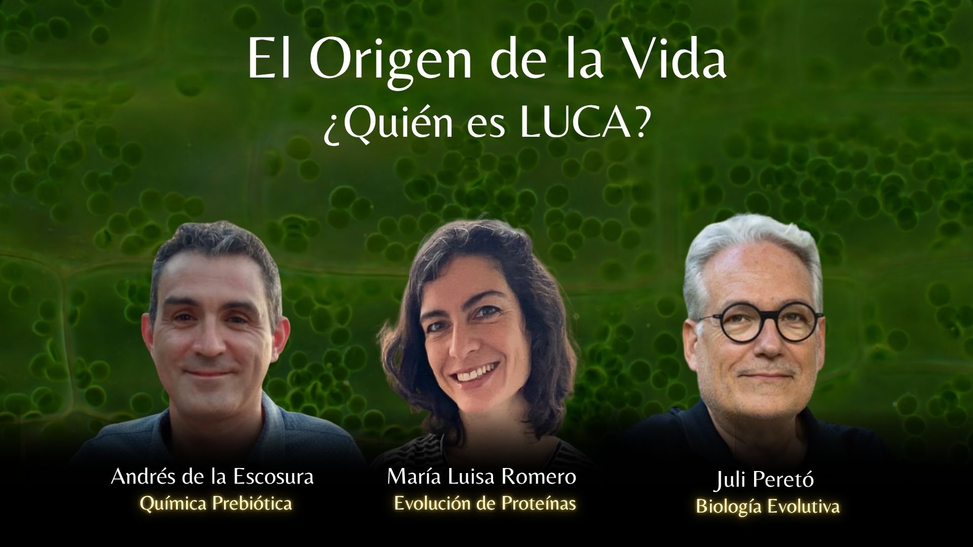 Workshop - Origin of Life II