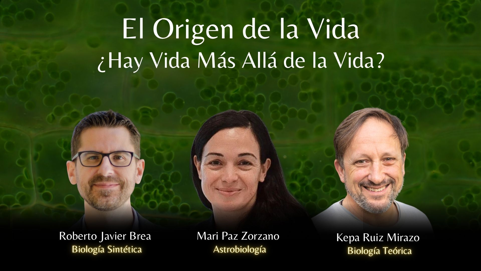 Workshop - Origin of Life III