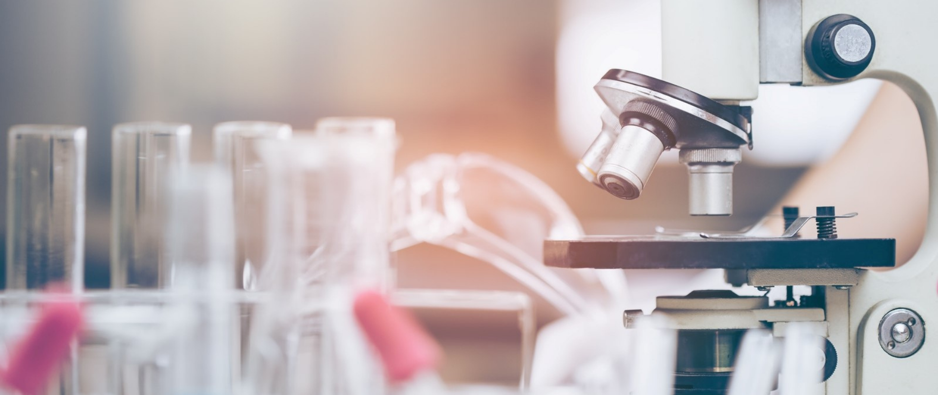 Hyperspecialization illustration