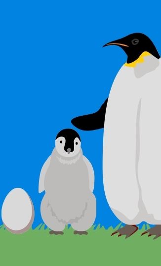 Developmental Biology