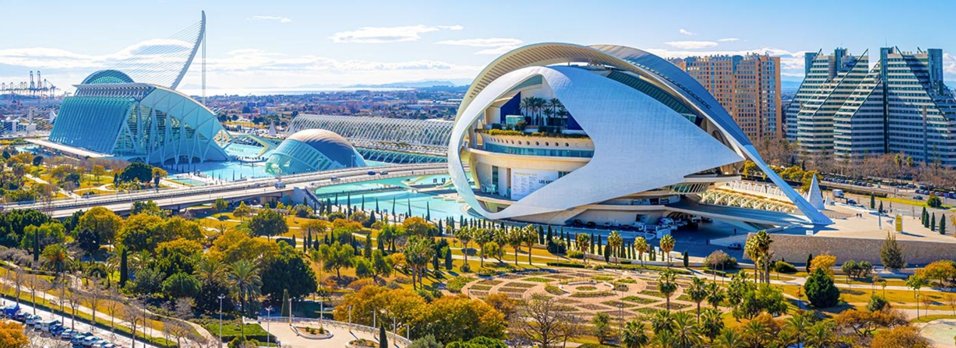 Descripción de la imagen