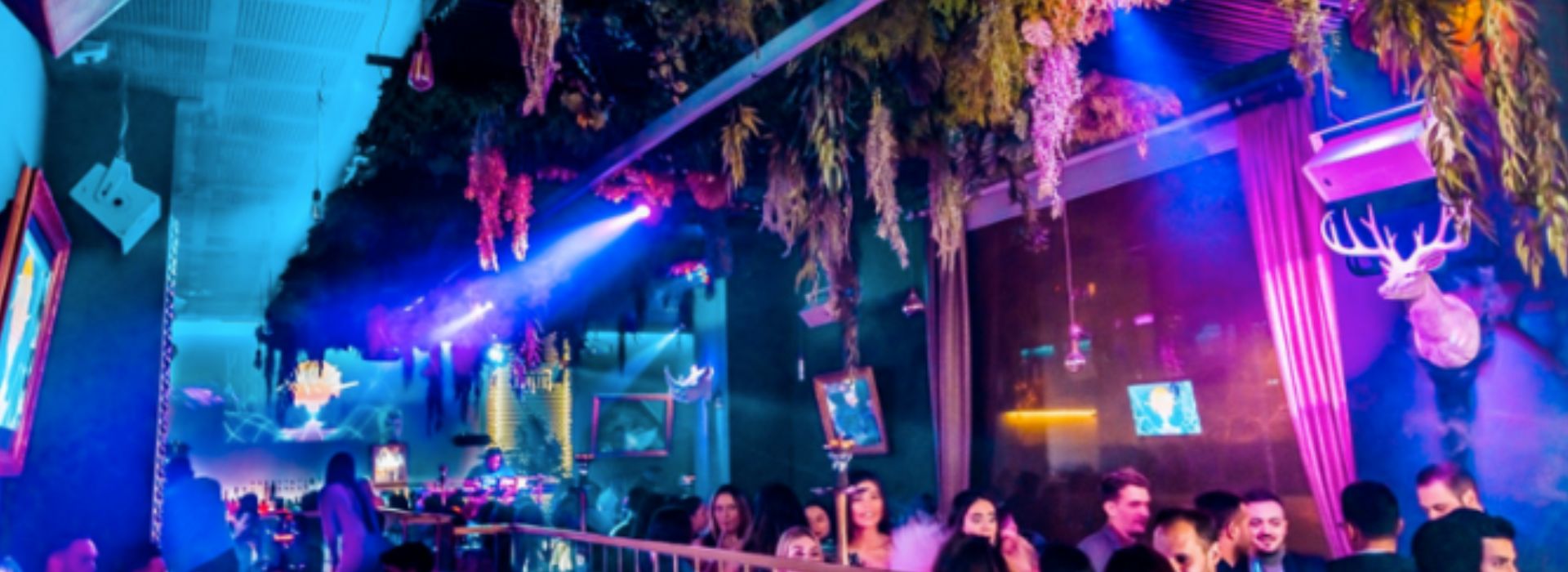 Descripción de la imagen