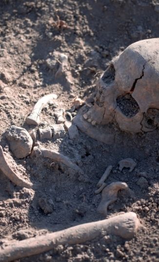 Cognitive Archaeology